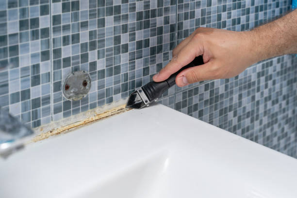 Best Mold Testing and Inspection Services in Buckingham, FL