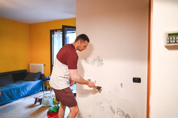 Best Black Mold Remediation in Buckingham, FL